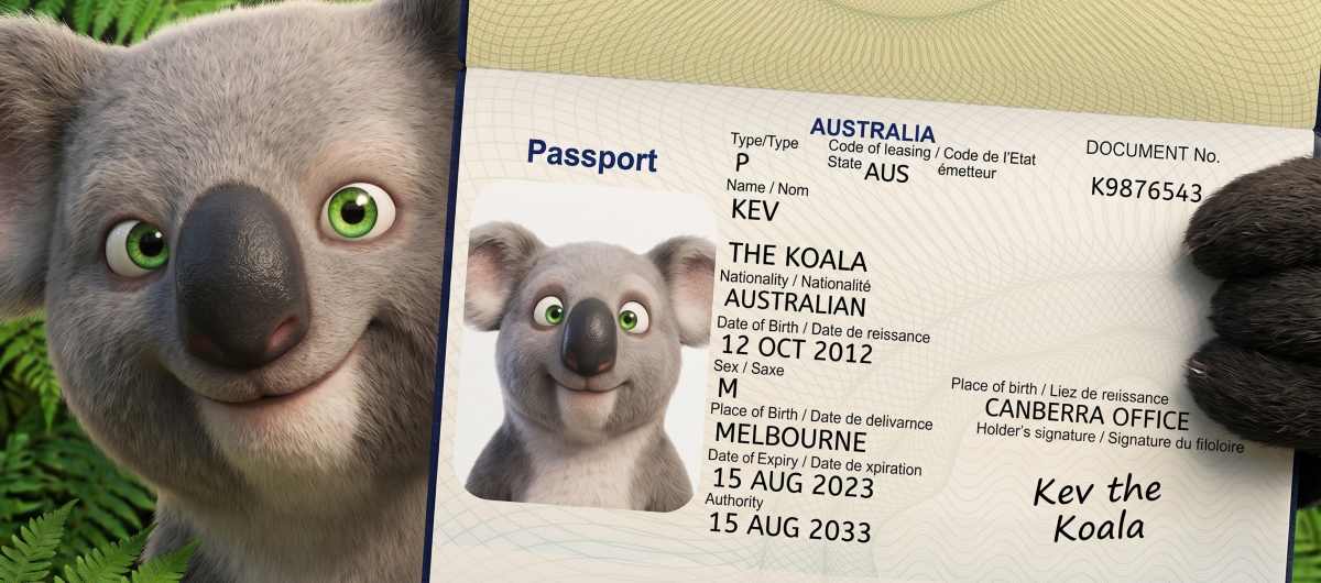 Koala Diary